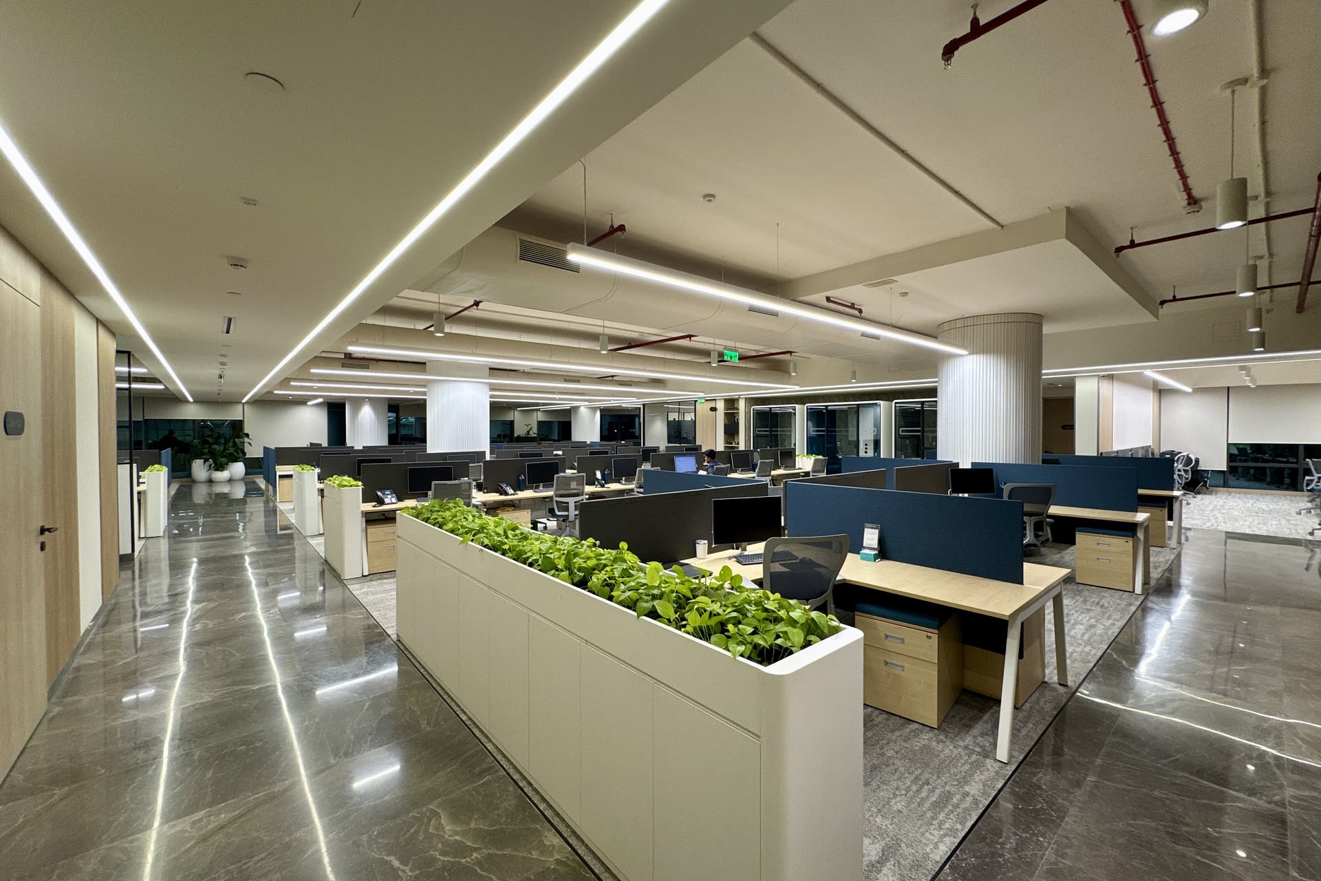 AJANTA PHARMA IMG 3744